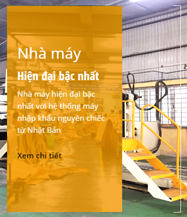 giới thiệu công ty