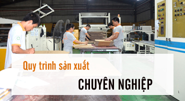 giới thiệu công ty