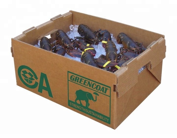 thùng carton chống thấm thủy sản