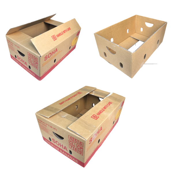 http://file.hstatic.net/1000000071/file/thung-carton-dung-chuoi-xk_grande.png