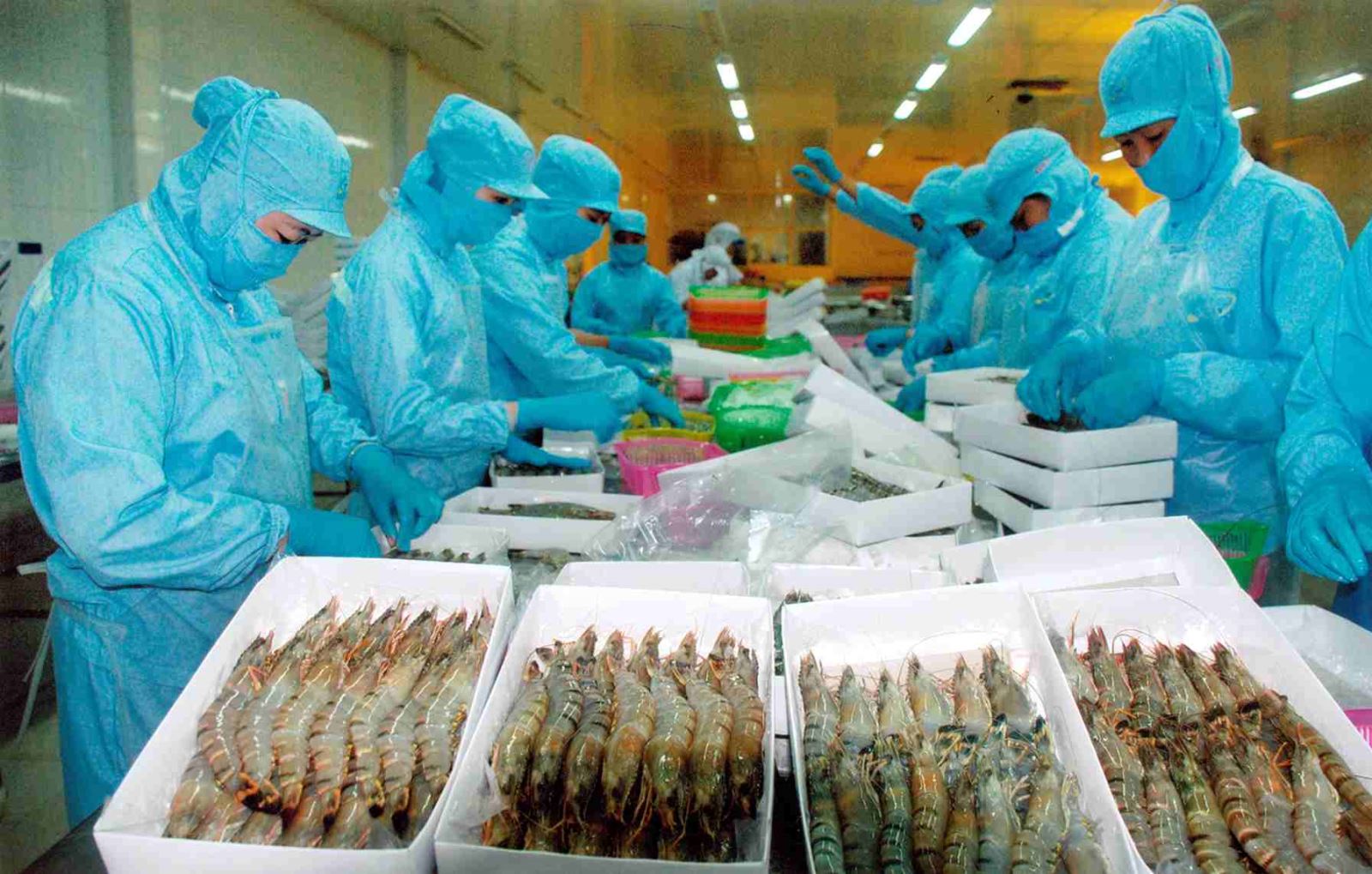 thùng carton đựng thủy hải sản
