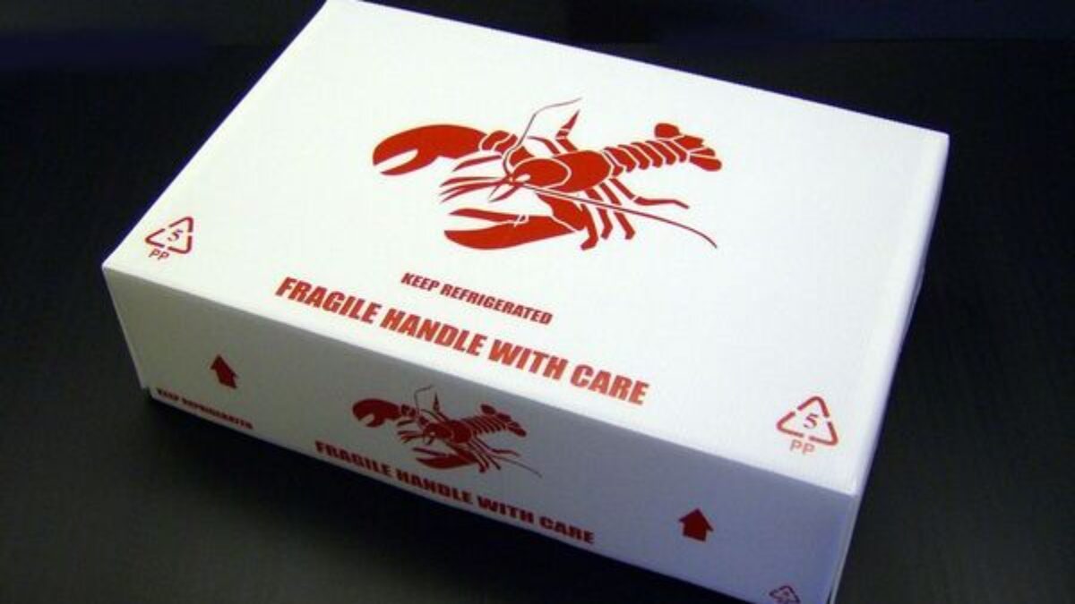 thùng carton đựng thủy hải sản