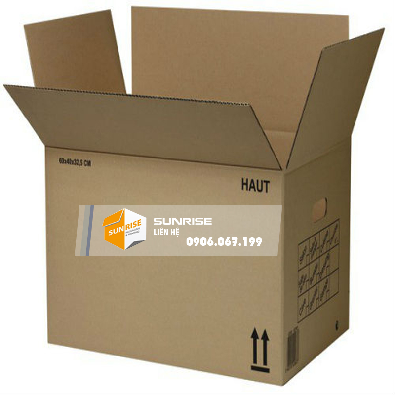 THUNG CARTON LON 