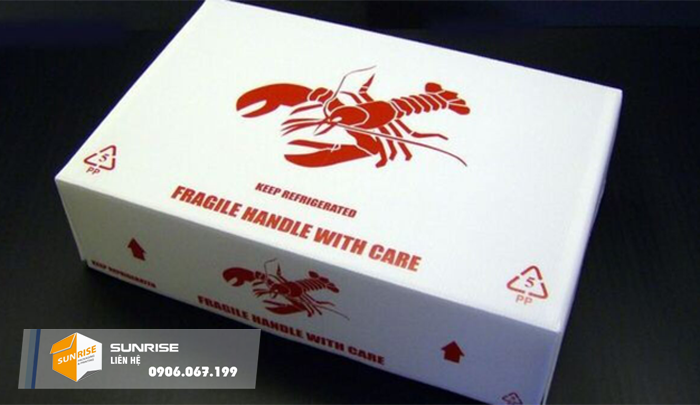 thung carton 