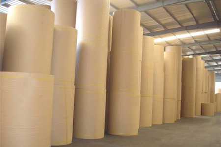 Bao Bì Hải Dương: Kiến Tạo Giá Trị, Vươn Tầm Thương Hiệu Việt