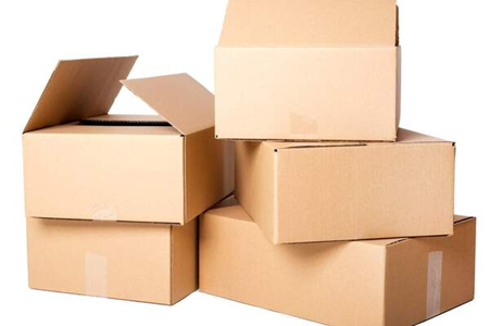 Bao Bì Nhựa Hải Dương: Khám Phá Các Loại Túi Nilon, Chai Lọ Phổ Biến & Lựa Chọn Thông Minh