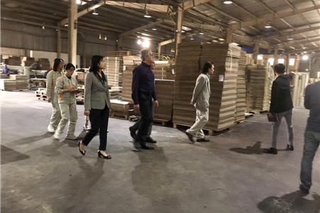 Thiết kế hộp carton chuyên nghiệp theo yêu cầu tại Hải Phòng