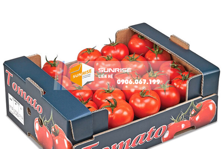 Thùng carton đựng thực phẩm chống thấm cho ngành nông sản