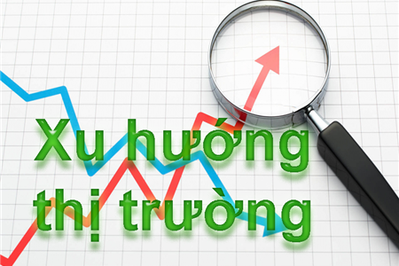 Xu Hướng Bao Bì Giấy Năm 2024