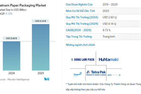 Thị Trường Bao Bì Giấy Việt Nam 2024