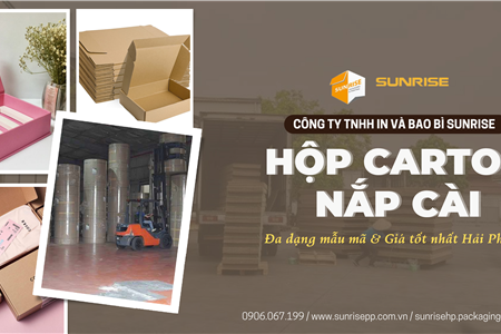 Hộp carton nắp gài giá rẻ nhất thị trường | Đa dạng mẫu mã