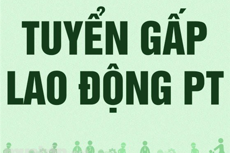 THÔNG BÁO TUYỂN DỤNG CÔNG NHÂN LAO ĐỘNG