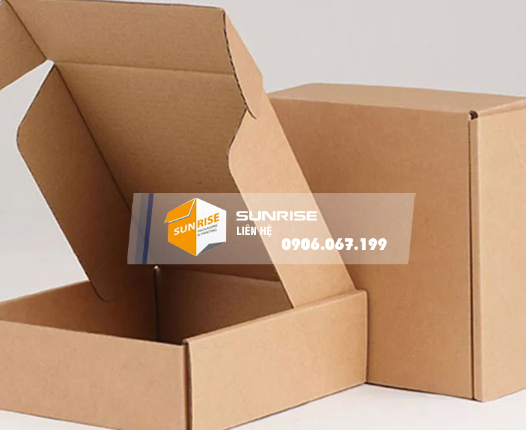 Hộp carton nắp cài
