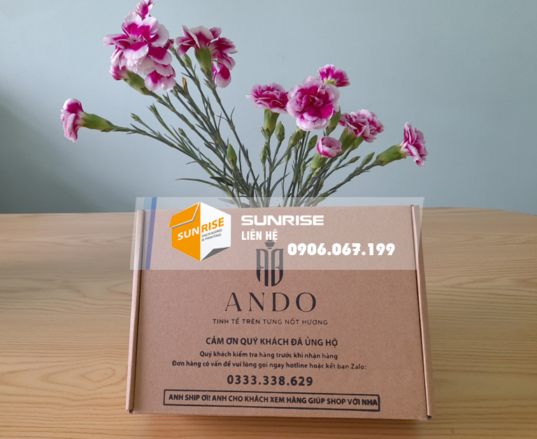 Hộp carton nắp cài