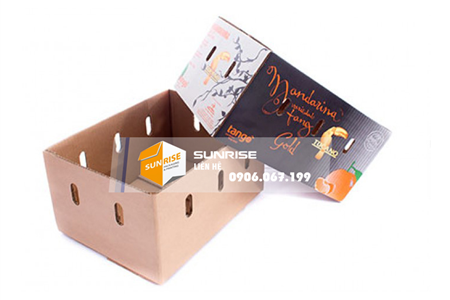 Thùng carton âm dương