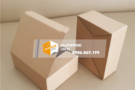 Hộp carton nắp cài