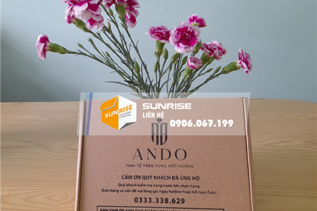Hộp carton nắp cài
